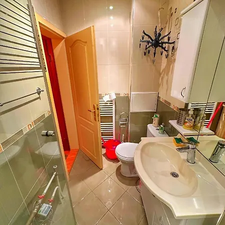 20 Off Sun Dance * 索菲亞